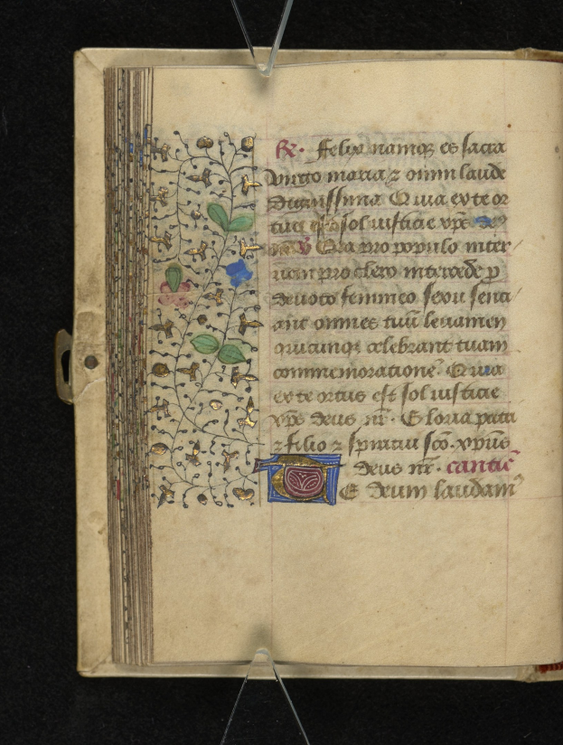 Ein aufgeschlagenes Buch, das eine mittelalterliche Manuskriptseite mit detaillierten floralen Designs, Text und einem dunklen Hintergrund zeigt.