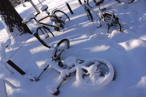 Eine Reihe von Fahrrädern, teilweise mit Schnee bedeckt, neben einem Baumstamm und einer Straße.