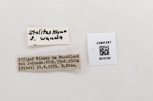 Zwei Papiere mit Text, eines mit QR-Code.