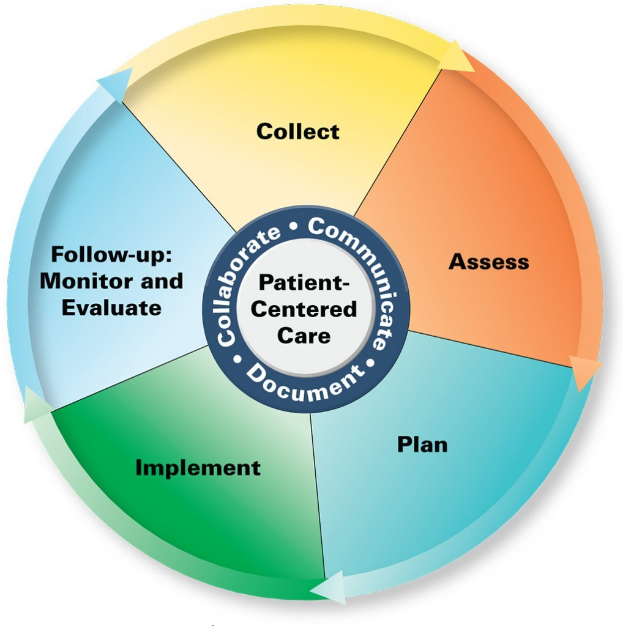 Ein Kreisdiagramm mit 'patientenzentrierter Versorgung' in der Mitte, unterteilt in vier farbige Abschnitte, jeweils mit einer Beschreibung der Versorgung.