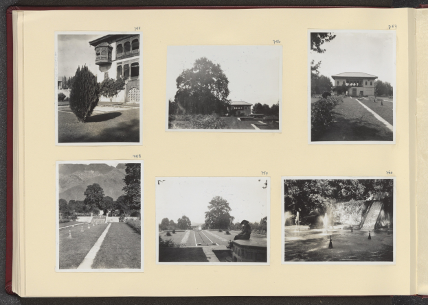 Ein aufgeschlagenes Buch mit einer Collage aus Schwarz-Weiß-Fotografien, die Bäume in der Mitte zeigen und von Bildern von Gebäuden und einem Brunnen umgeben sind.