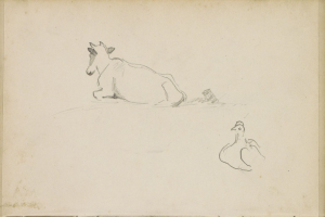 Eine Zeichnung einer entspannten Kuh mit ihrem Kopf auf den Vorderbeinen ruhend und ein Huhn auf ihrem Rücken sitzend, das nach oben schaut, auf einem hellen cremefarbenen Papier.