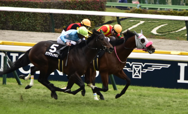 Zwei Jockeys in Helmen und Stiefeln auf Pferden rennen auf einer eingezäunten Bahn mit Bannern, Pflanzen und Zuschauern in den Tribünen.