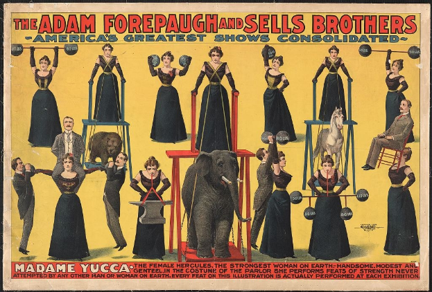 Plakat für die vereinigte Zirkusshow von Adam Forepaugh und Sells Brothers mit Künstlern auf Hockern, einem Elefanten und Werbetext.