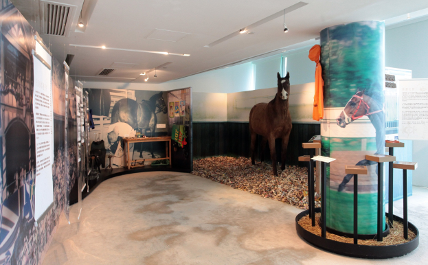 Ein Museumsausstellungsraum mit einem montierten Pferd, Postern an den W├Ąnden, einem Tisch mit Gegenst├Ąnden und Deckenlichtern, wobei der Boden unten sichtbar ist.