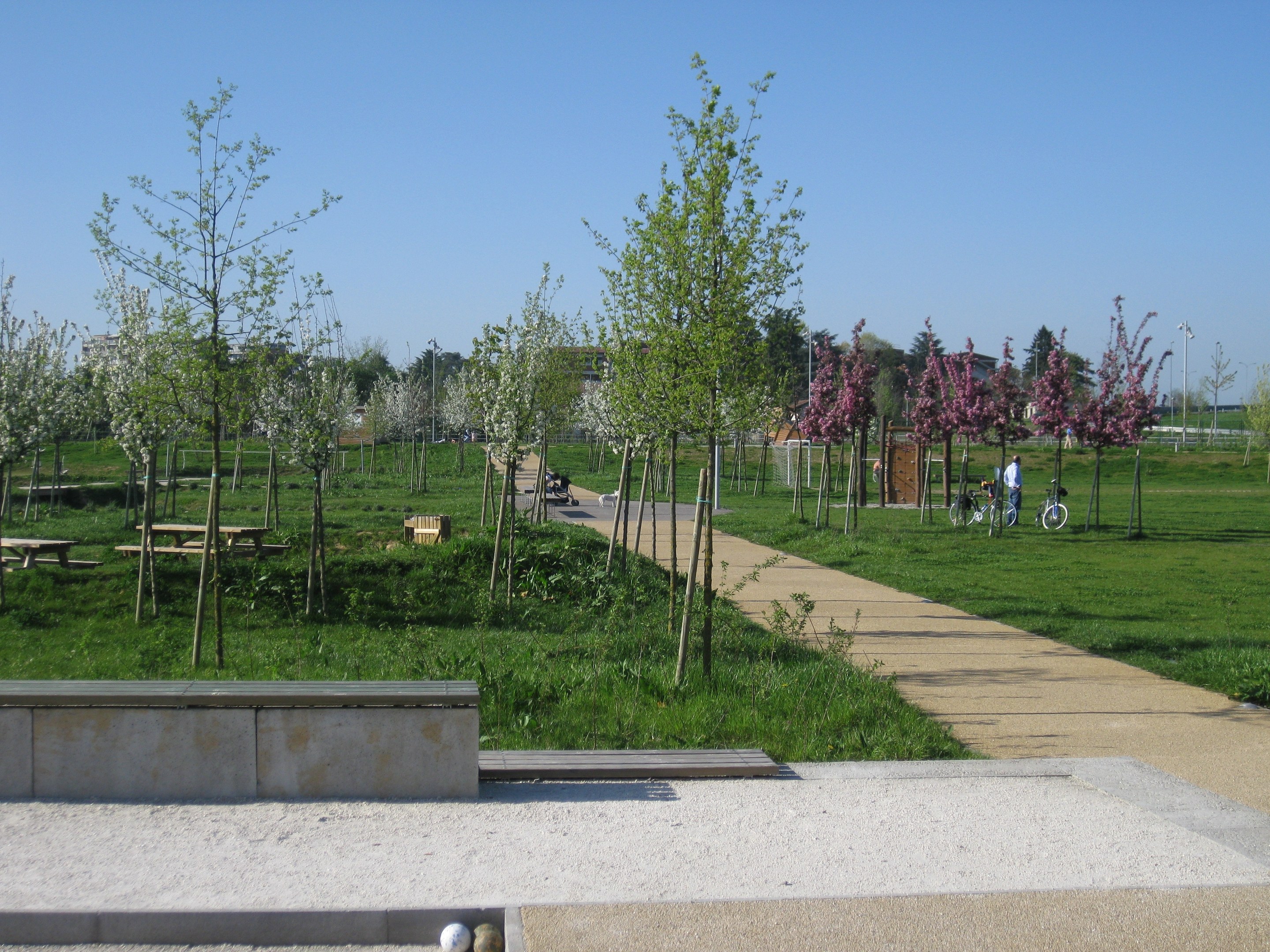 Ein Parkweg mit Bäumen und Bänken, Menschen auf Fahrrädern, Gebäude im Hintergrund und ein klarer blauer Himmel über saftig grünem Gras.
