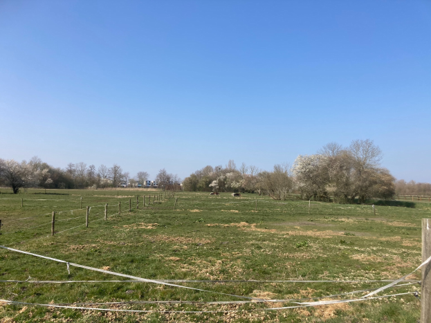 Ein grasbewachsener Feld mit einem Zaun, der es teilt, umgeben von Bäumen unter einem klaren blauen Himmel, als multiple nummerierte Grundstücke zum Verkauf angeboten.