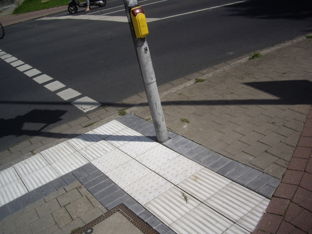 Eine Person fährt mit einem Roller auf einer Straße neben einem Gehweg vorbei an einer Stange, mit einem Fahrrad auf dem Gehweg und Gebäuden, Bäumen und Gras im Hintergrund.
