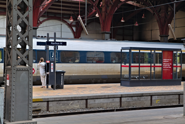 Ein Zug fährt auf einem Bahnsteig ein mit einer Person in der Nähe, einem Müllcontainer, Pfosten, Informationsschildern und Deckenleuchten.