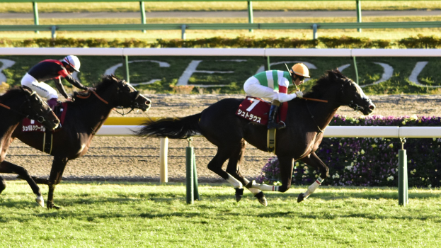Zwei Jockeys auf Pferden, die eine Bahn entlanggaloppieren, Helme tragend, umgeben von Grün, mit einer Begrenzung und einer Tafel im Hintergrund.