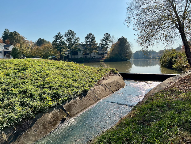 Kleiner Bach, der durch ein grünes Feld neben einem Gewässer fließt, gesäumt von Bäumen und Pflanzen, mit Gebäuden im Hintergrund unter einem klaren blauen Himmel.