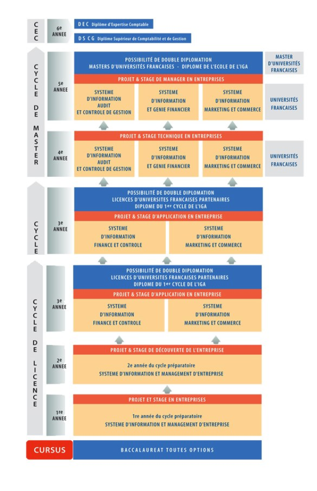 Diagramm, das die Organisationsstruktur eines Unternehmens mit Phasen des Geschäfts growths und der Entwicklung darstellt, wobei jede Phase durch verbundene Kästchen mit Texten dargestellt wird, die Rollen und Verantwortlichkeiten beschreiben.