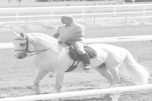 Eine Person sitzt auf einem Pferd und reitet darauf.