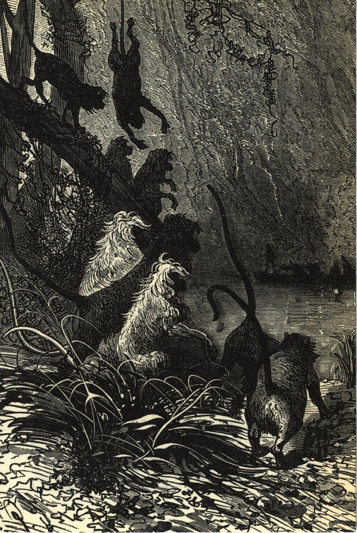 Schwarze und weiße Illustration einer Gruppe von Löwen in einer Dschungellandschaft mit üppiger Vegetation und Bäumen, die den Text 'Der Löwenkönig' am Boden zeigt.