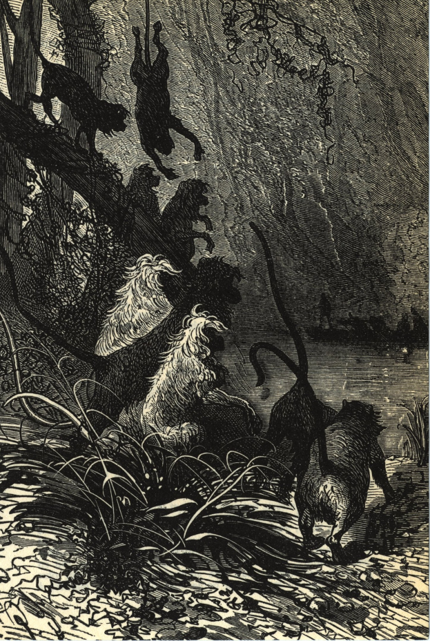 Schwarze und weiße Illustration einer Gruppe von Löwen in einer Dschungellandschaft mit üppiger Vegetation und Bäumen, die den Text 'Der Löwenkönig' am Boden zeigt.