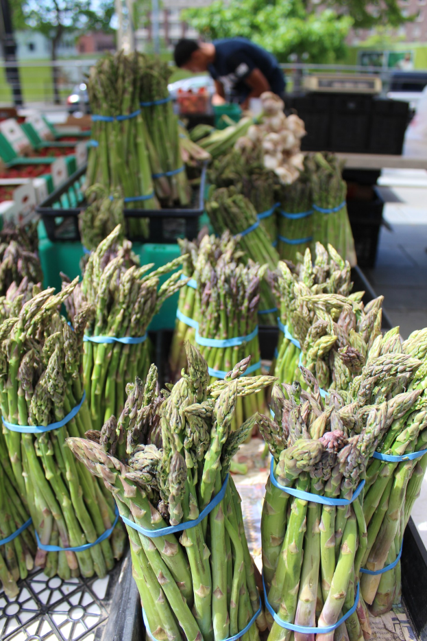Frische Spargelbündel auf einem Bauernmarkt zum Verkauf ausgestellt, mit einer Person im Hintergrund zwischen Bäumen, Gebäuden und einem klaren blauen Himmel.